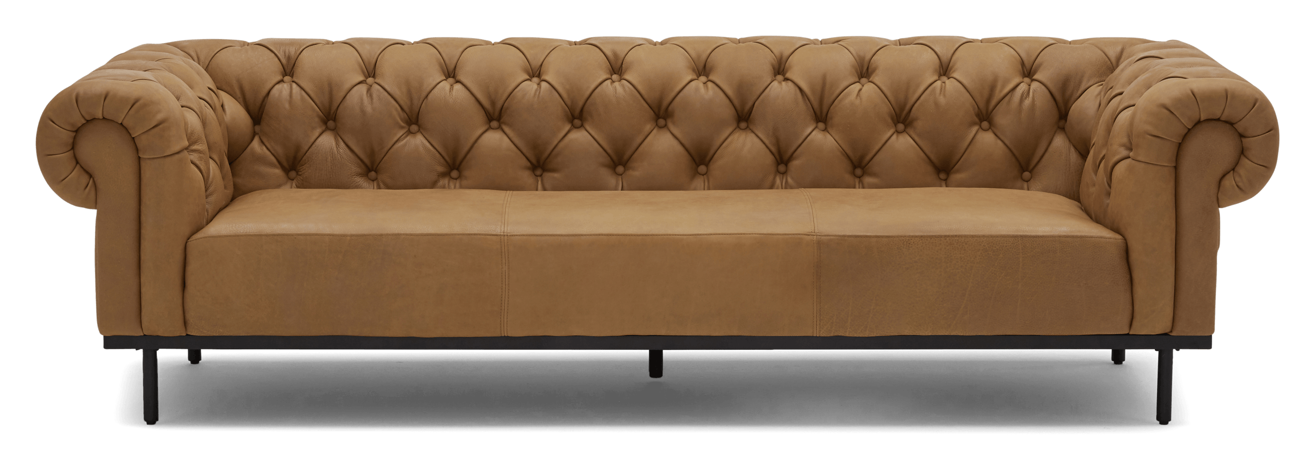 worthy leather sofa joybird